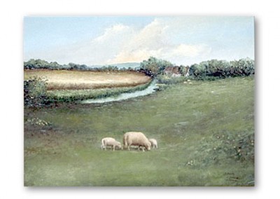 SHEEP AT WINDRUSH RIVER, COTSWOLDS